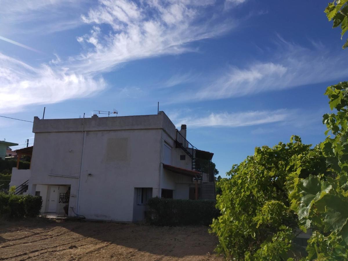 Ellina'S Home - Euboea Island Greece Oxílithos Exterior foto